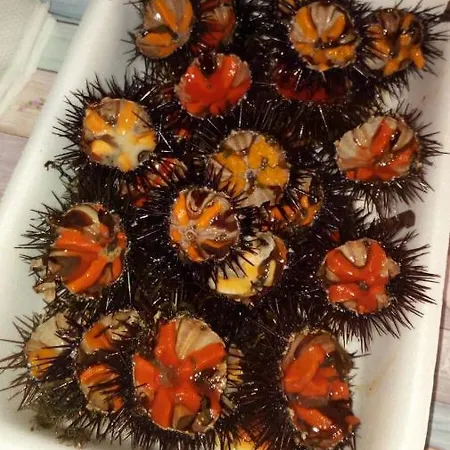 Loriand Depandance Gallipoli