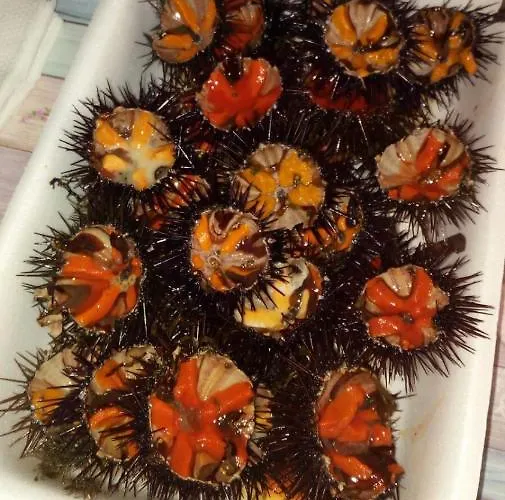 Loriand Depandance Gallipoli